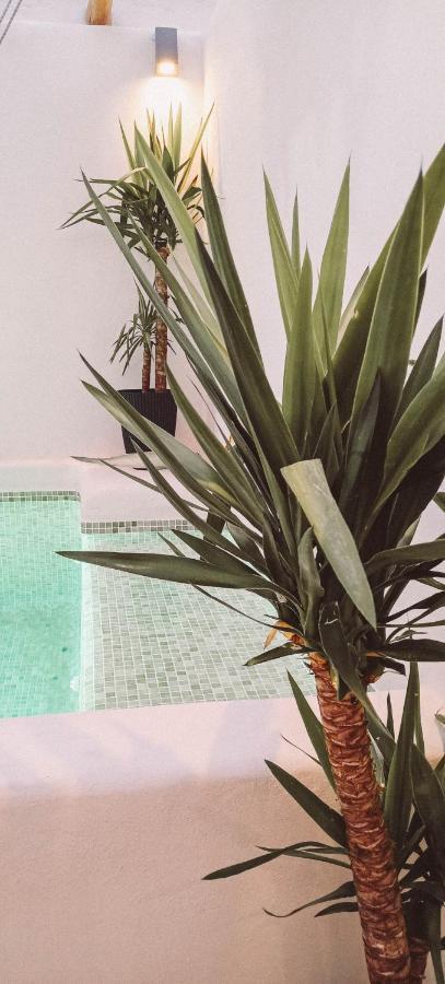 Ronda City Wall Apartments With Private Pool Esterno foto