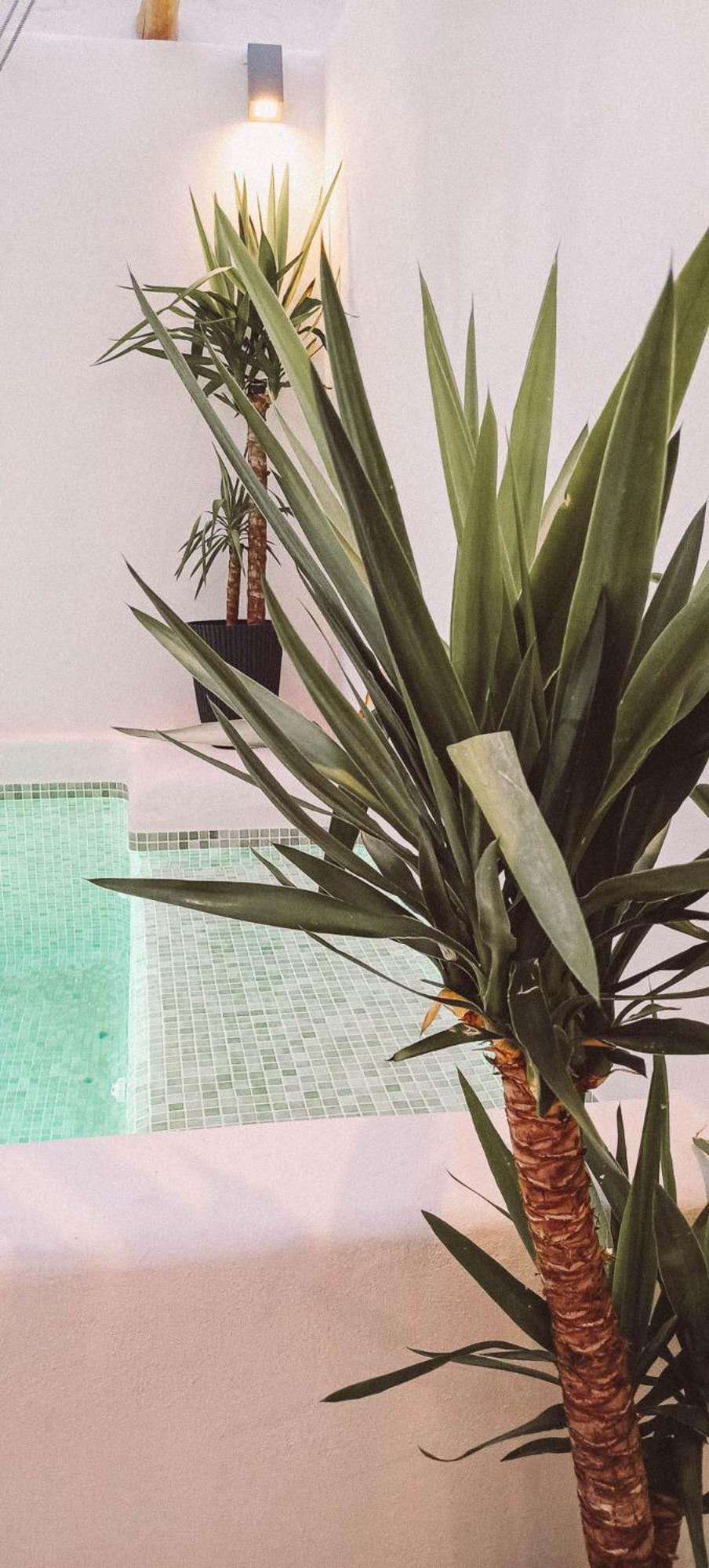 Ronda City Wall Apartments With Private Pool Esterno foto